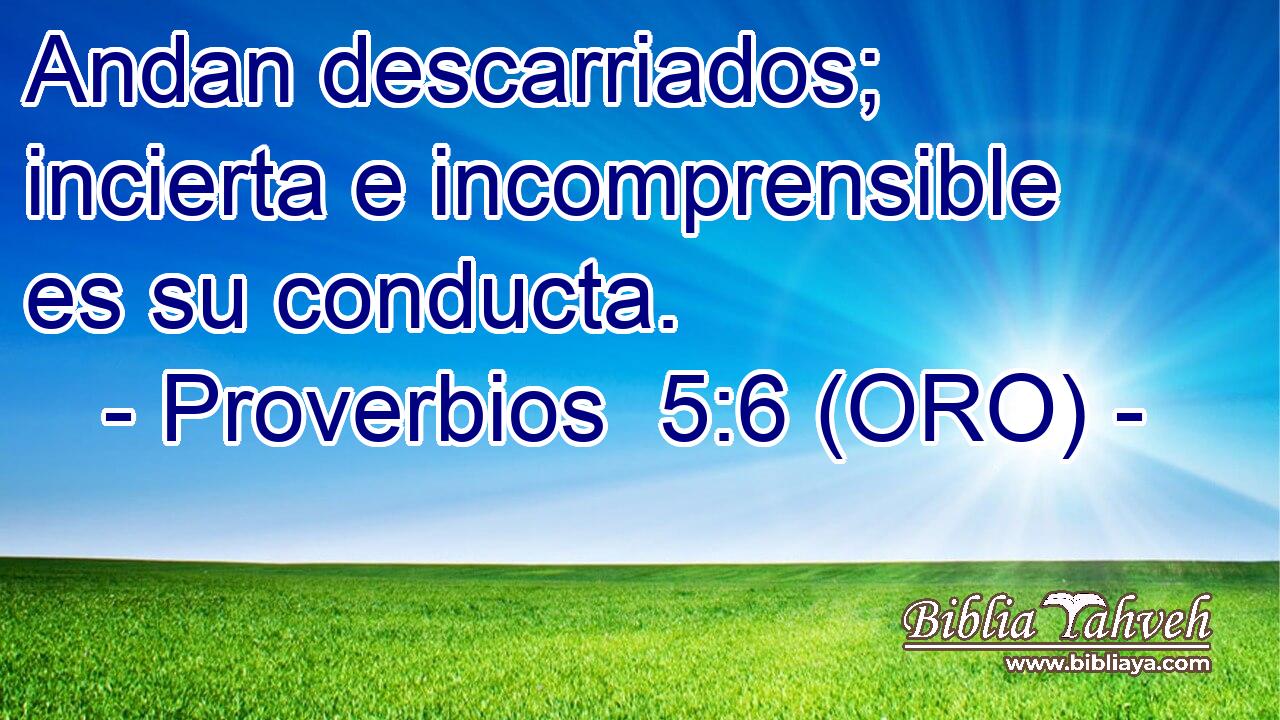  Andan descarriados; incierta e incomprensible es su conducta. 