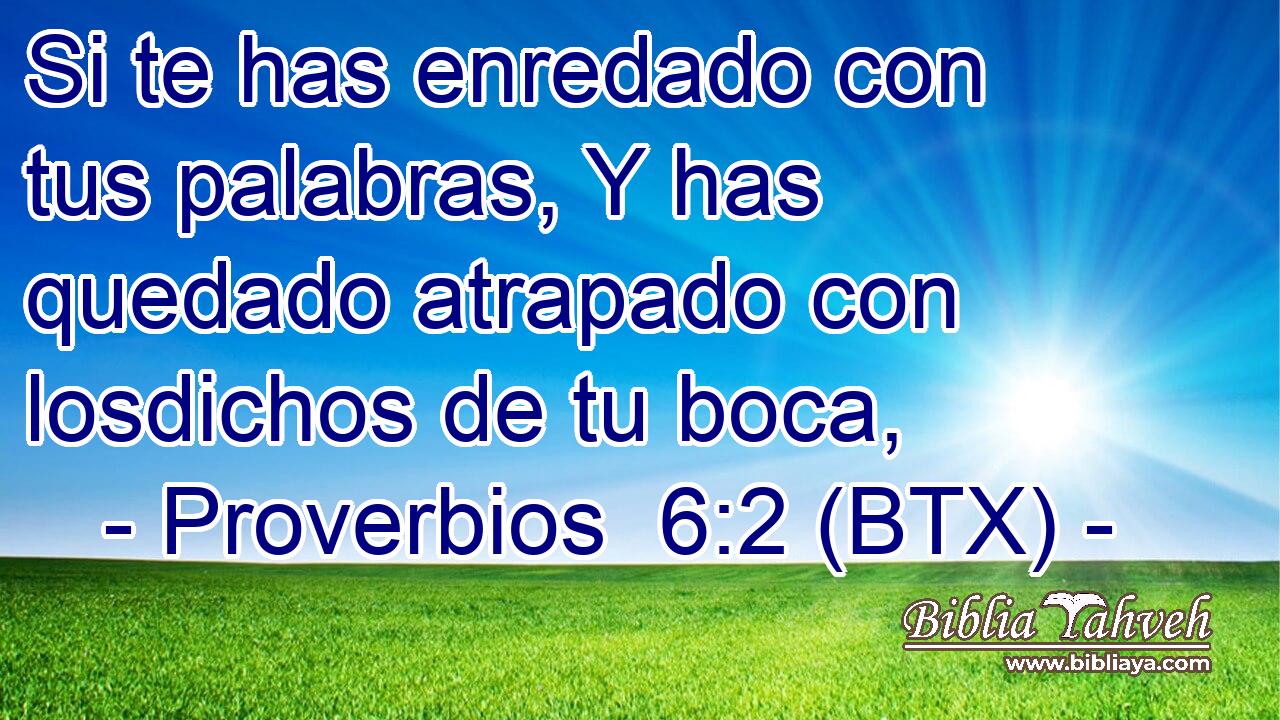 Si te has enredado con tus palabras, Y has quedado atrapado con losdichos de tu boca,