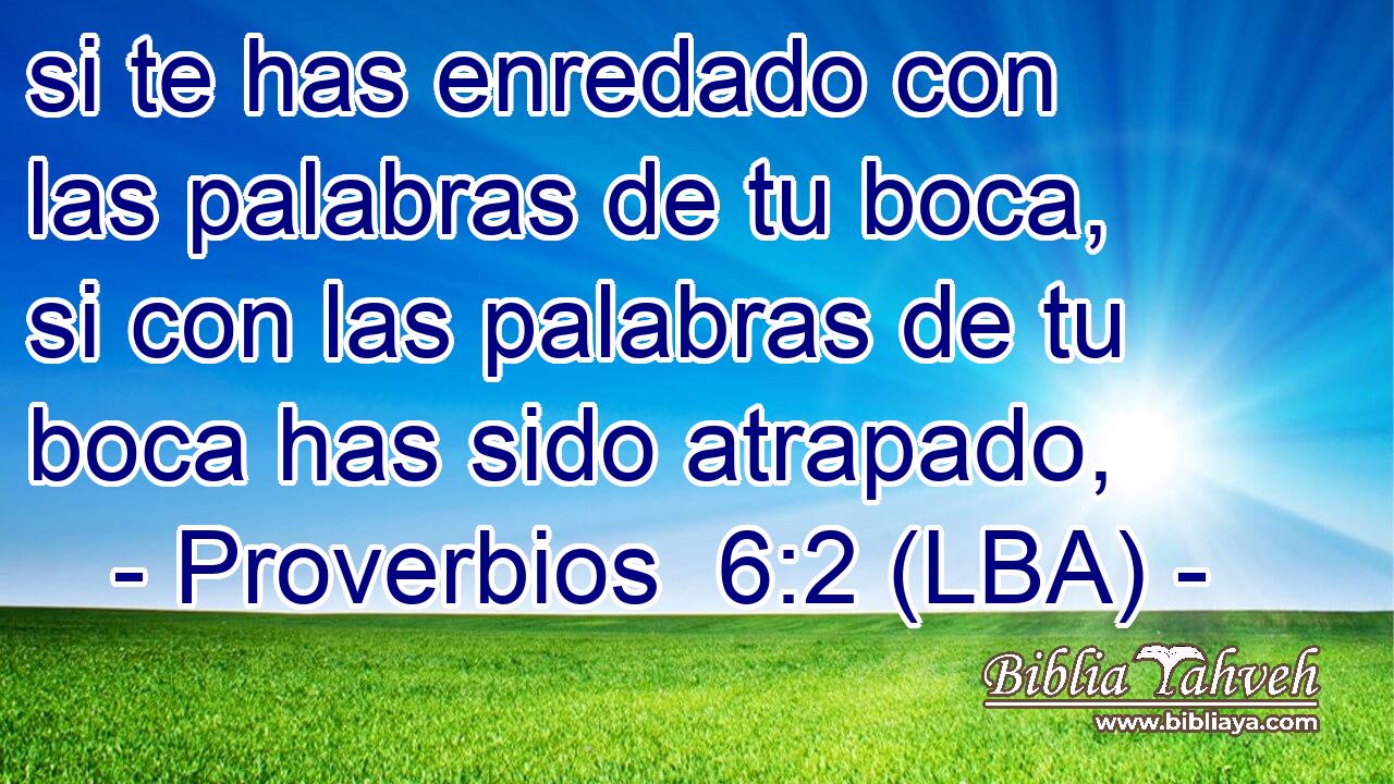 si te has enredado con las palabras de tu boca, si con las palabras de tu boca has sido atrapado,