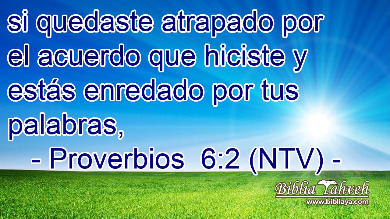 si quedaste atrapado por el acuerdo que hiciste y estás enredado por tus palabras,