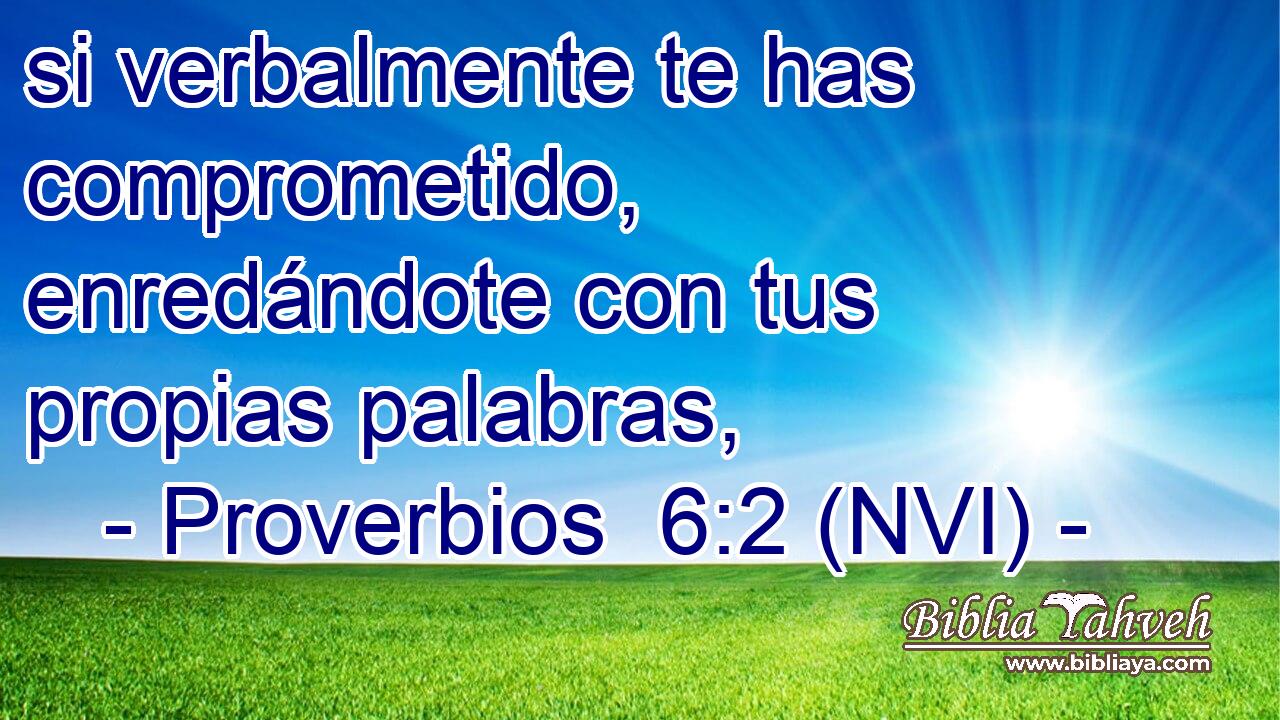  si verbalmente te has comprometido, enredándote con tus propias palabras, 