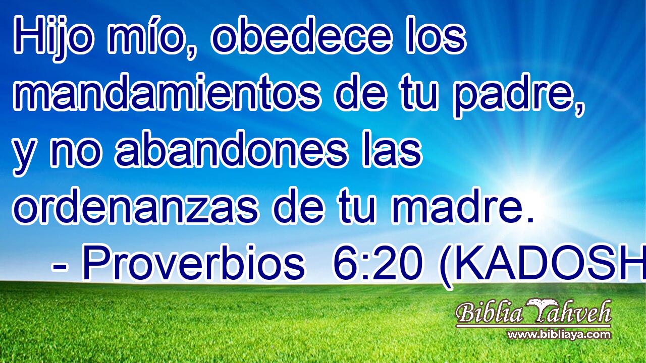  Hijo mío, obedece los mandamientos de tu padre, y no abandones las ordenanzas de tu madre. 