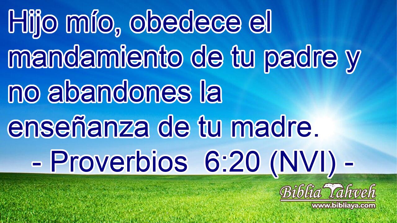  Hijo mío, obedece el mandamiento de tu padre y no abandones la enseñanza de tu madre. 
