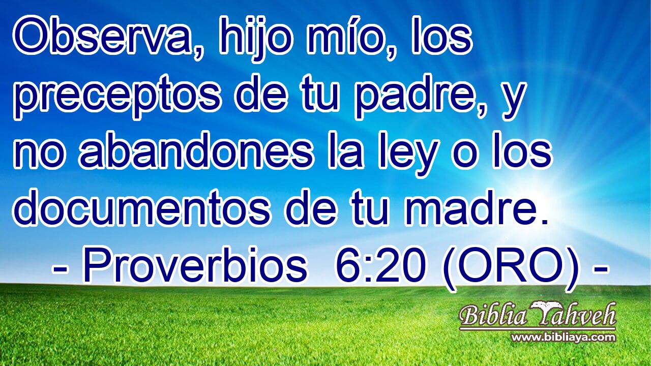  Observa, hijo mío, los preceptos de tu padre, y no abandones la ley o los documentos de tu madre. 