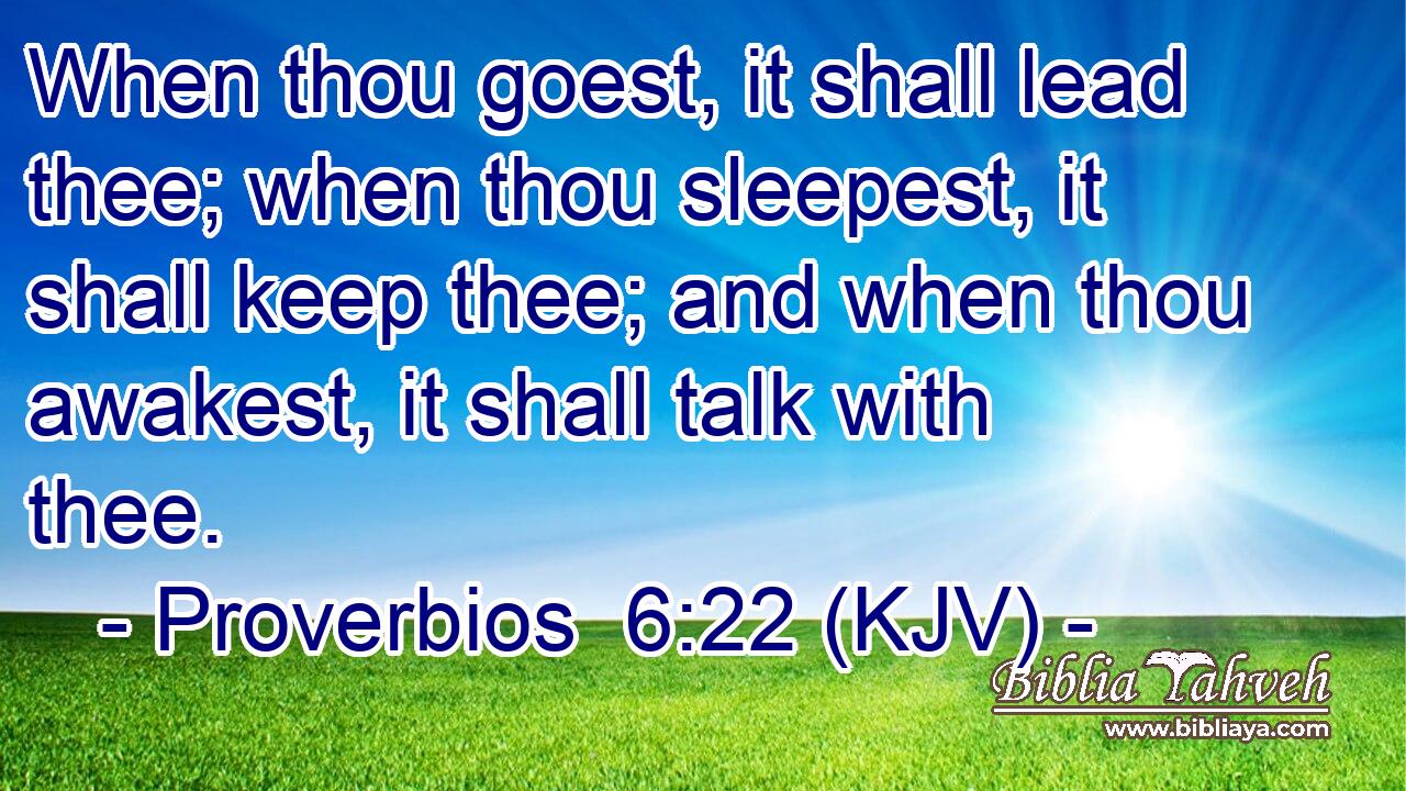 When thou goest, it shall lead thee; when thou sleepest, it shall keep thee; and when thou awakest, it shall talk with thee.