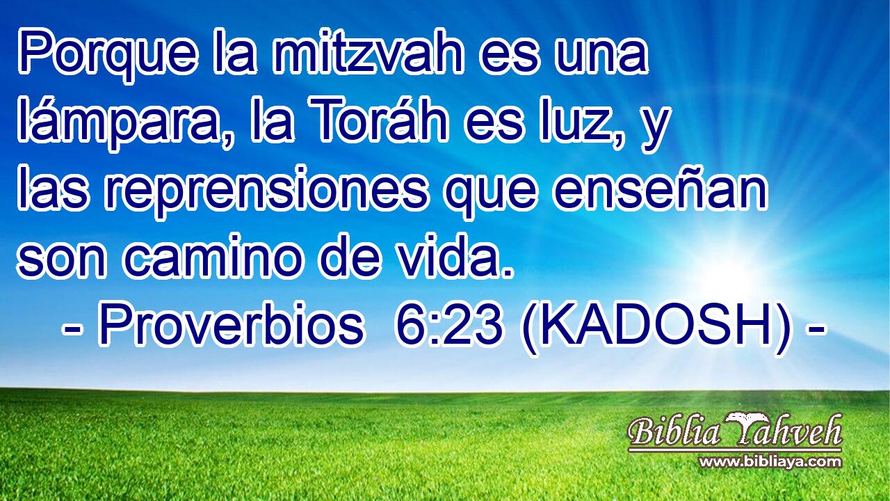  Porque la mitzvah es una lámpara, la Toráh es luz, y las reprensiones que enseñan son camino de vida. 