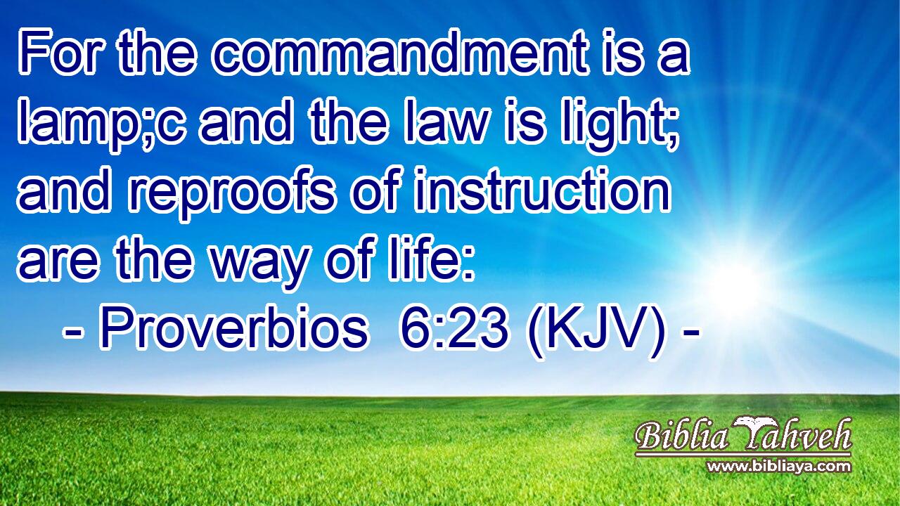 For the commandment is a lamp;c and the law is light; and reproofs of instruction are the way of life: