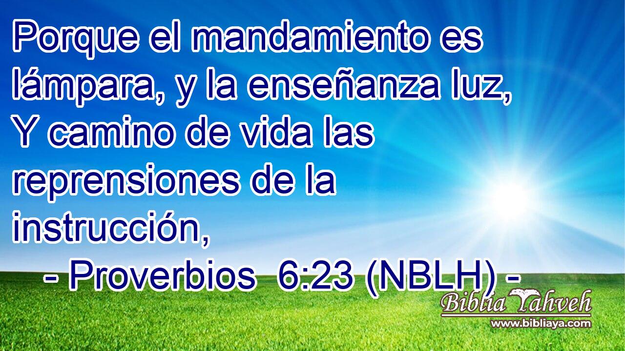  Porque el mandamiento es lámpara, y la enseñanza luz, Y camino de vida las reprensiones de la instrucción, 