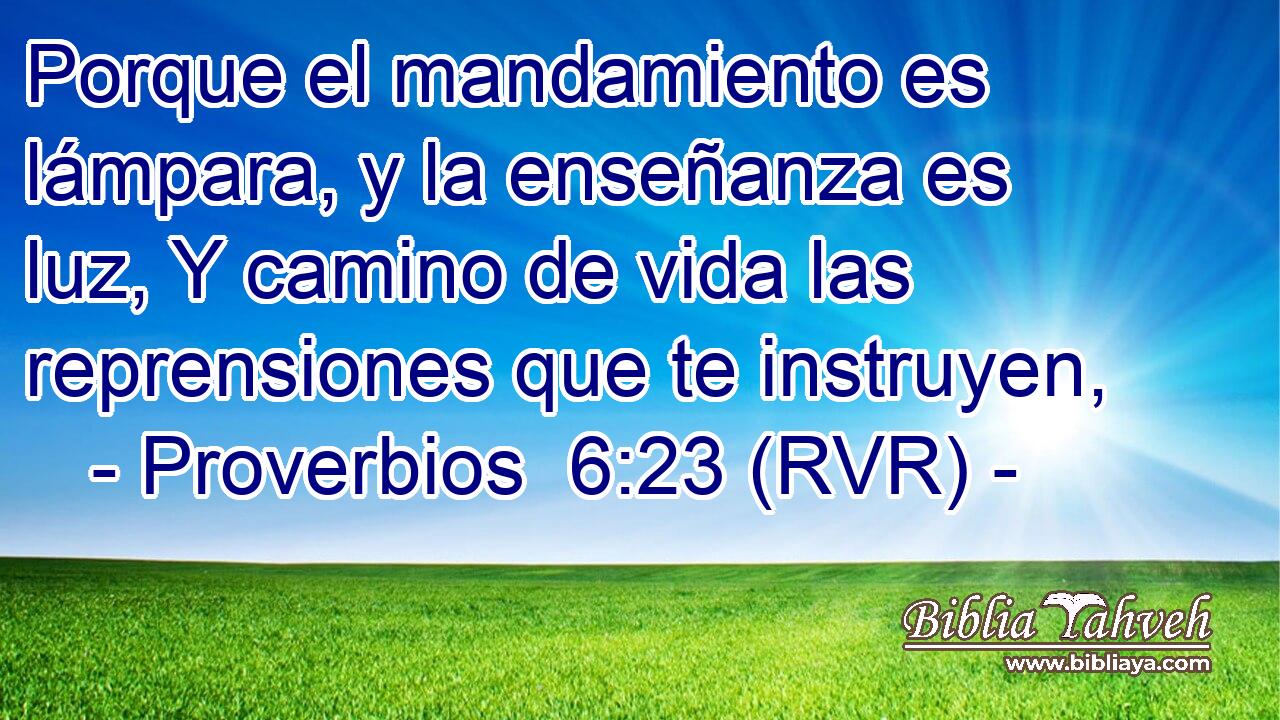Porque el mandamiento es lámpara, y la enseñanza es luz, Y camino de vida las reprensiones que te instruyen,
