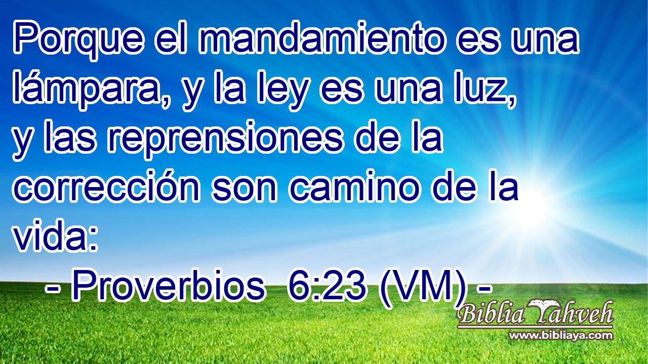  Porque el mandamiento es una lámpara, y la ley es una luz, y las reprensiones de la corrección son camino de la vida: 