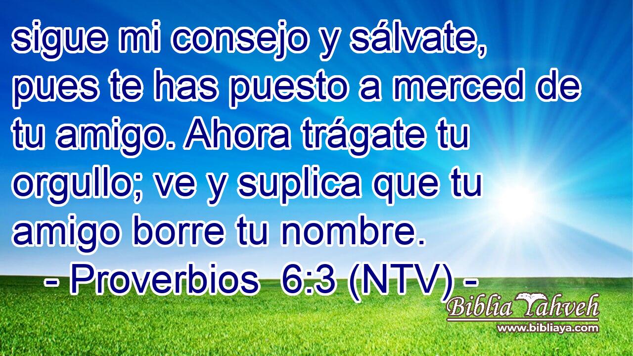 sigue mi consejo y sálvate, pues te has puesto a merced de tu amigo. Ahora trágate tu orgullo; ve y suplica que tu amigo borre tu nombre.