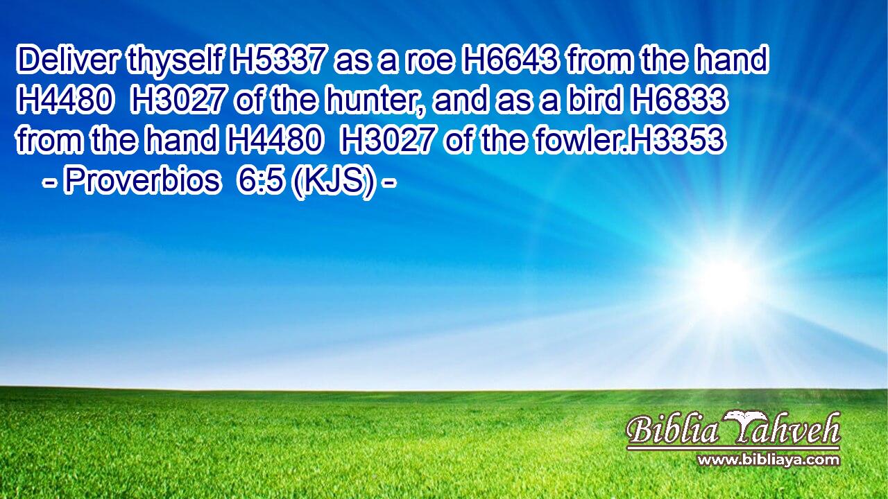 Deliver thyself H5337 as a roe H6643 from the hand H4480  H3027 of the hunter, and as a bird H6833 from the hand H4480  H3027 of the fowler.H3353