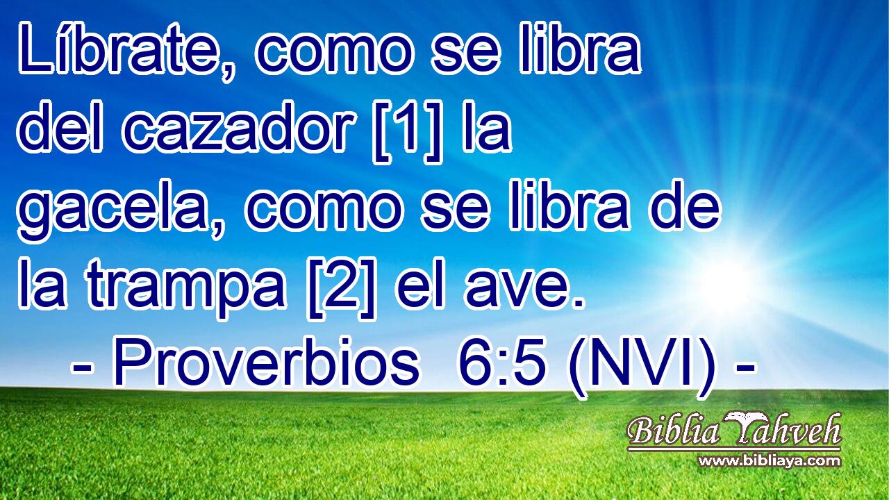  Líbrate, como se libra del cazador [1] la gacela, como se libra de la trampa [2] el ave. 