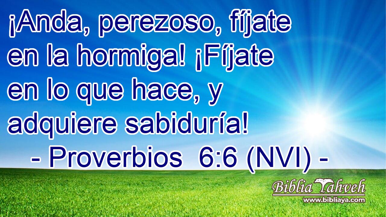  ¡Anda, perezoso, fíjate en la hormiga! ¡Fíjate en lo que hace, y adquiere sabiduría! 