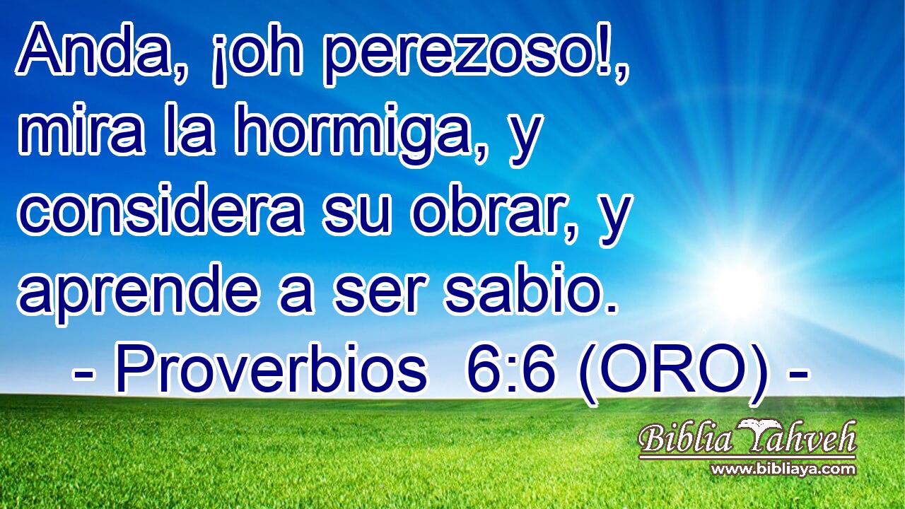 Anda, ¡oh perezoso!, mira la hormiga, y considera su obrar, y aprende a ser sabio. 