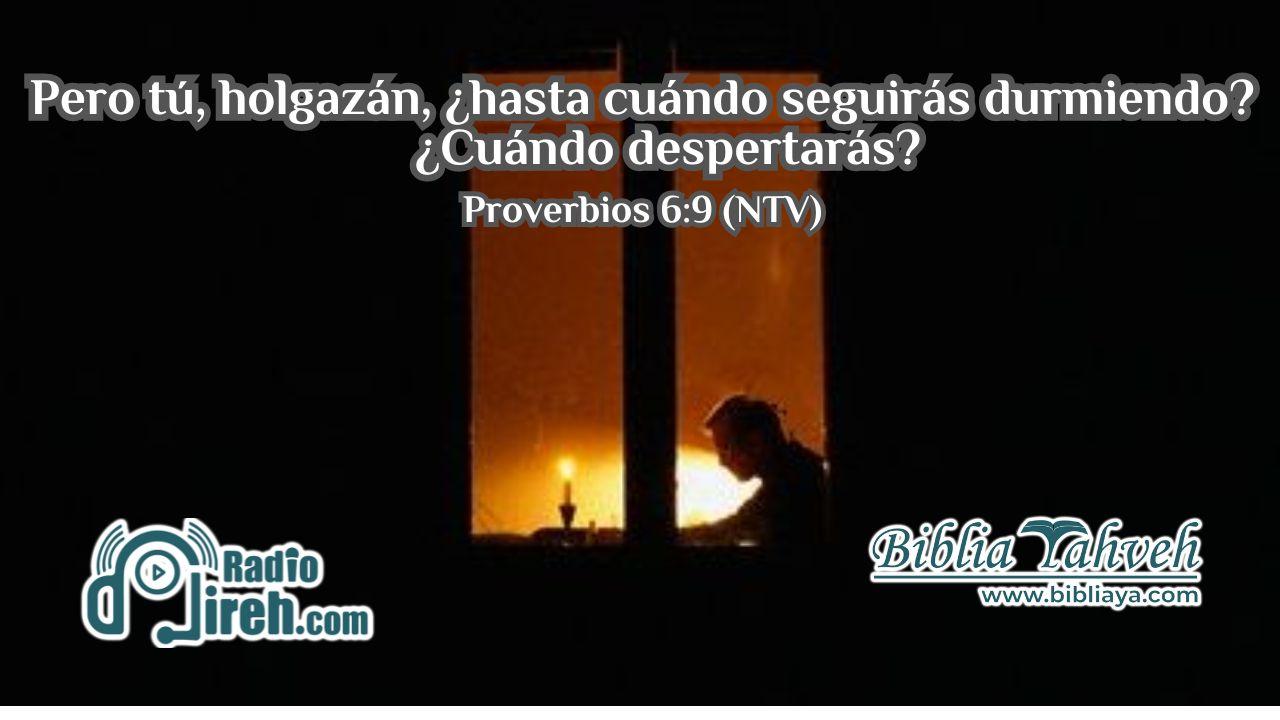 Pero tú, holgazán, ¿hasta cuándo seguirás durmiendo? ¿Cuándo despertarás?