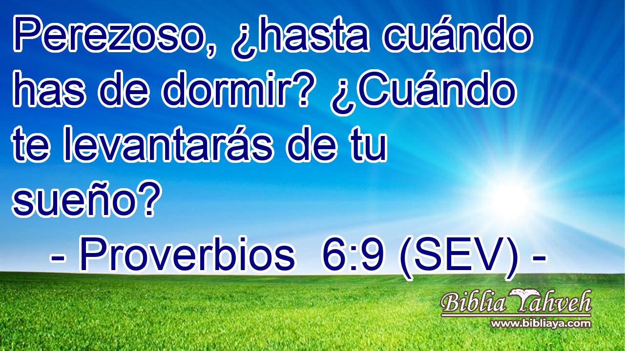 Perezoso, ¿hasta cuándo has de dormir? ¿Cuándo te levantarás de tu sueño?
