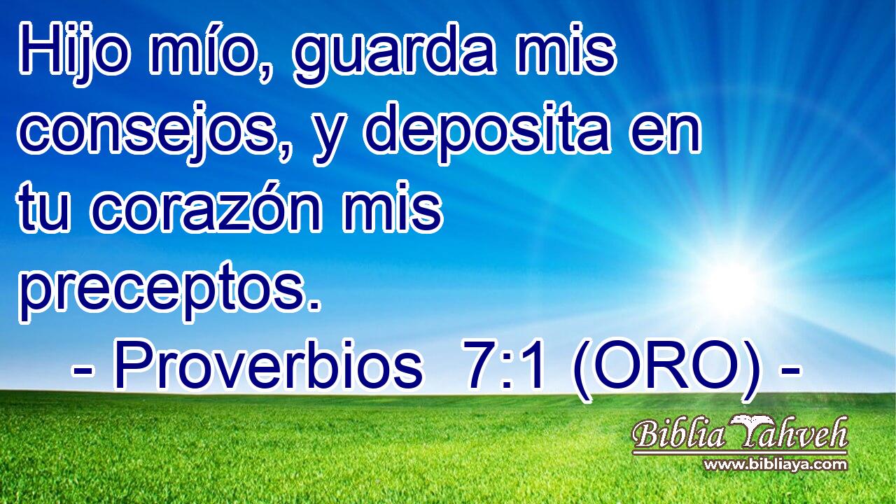  Hijo mío, guarda mis consejos, y deposita en tu corazón mis preceptos. 