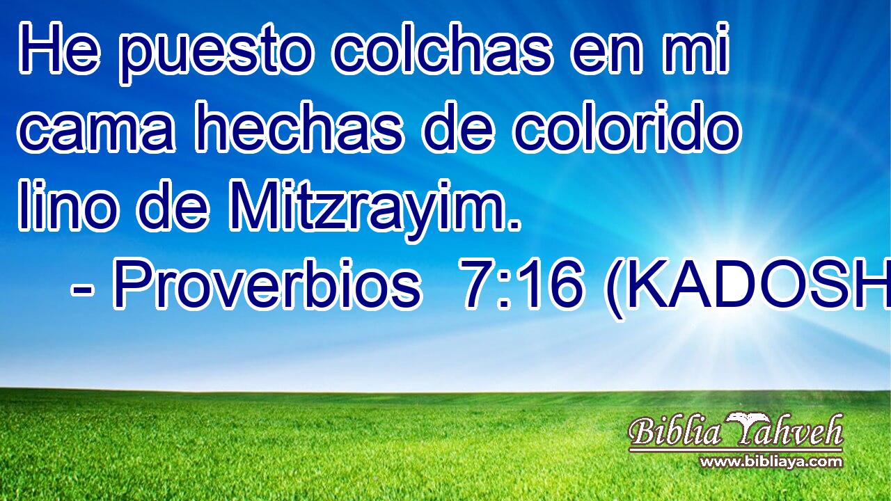  He puesto colchas en mi cama hechas de colorido lino de Mitzrayim. 