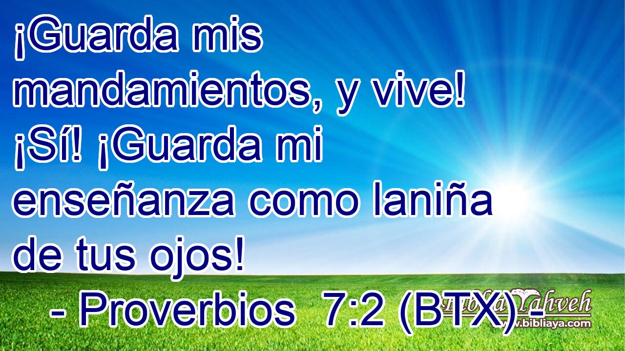 ¡Guarda mis mandamientos, y vive! ¡Sí! ¡Guarda mi enseñanza como laniña de tus ojos!