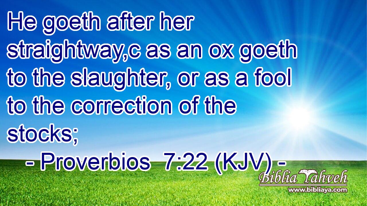 He goeth after her straightway,c as an ox goeth to the slaughter, or as a fool to the correction of the stocks;