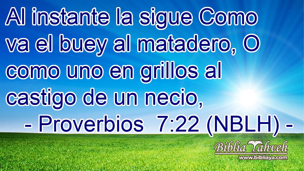  Al instante la sigue Como va el buey al matadero, O como uno en grillos al castigo de un necio, 