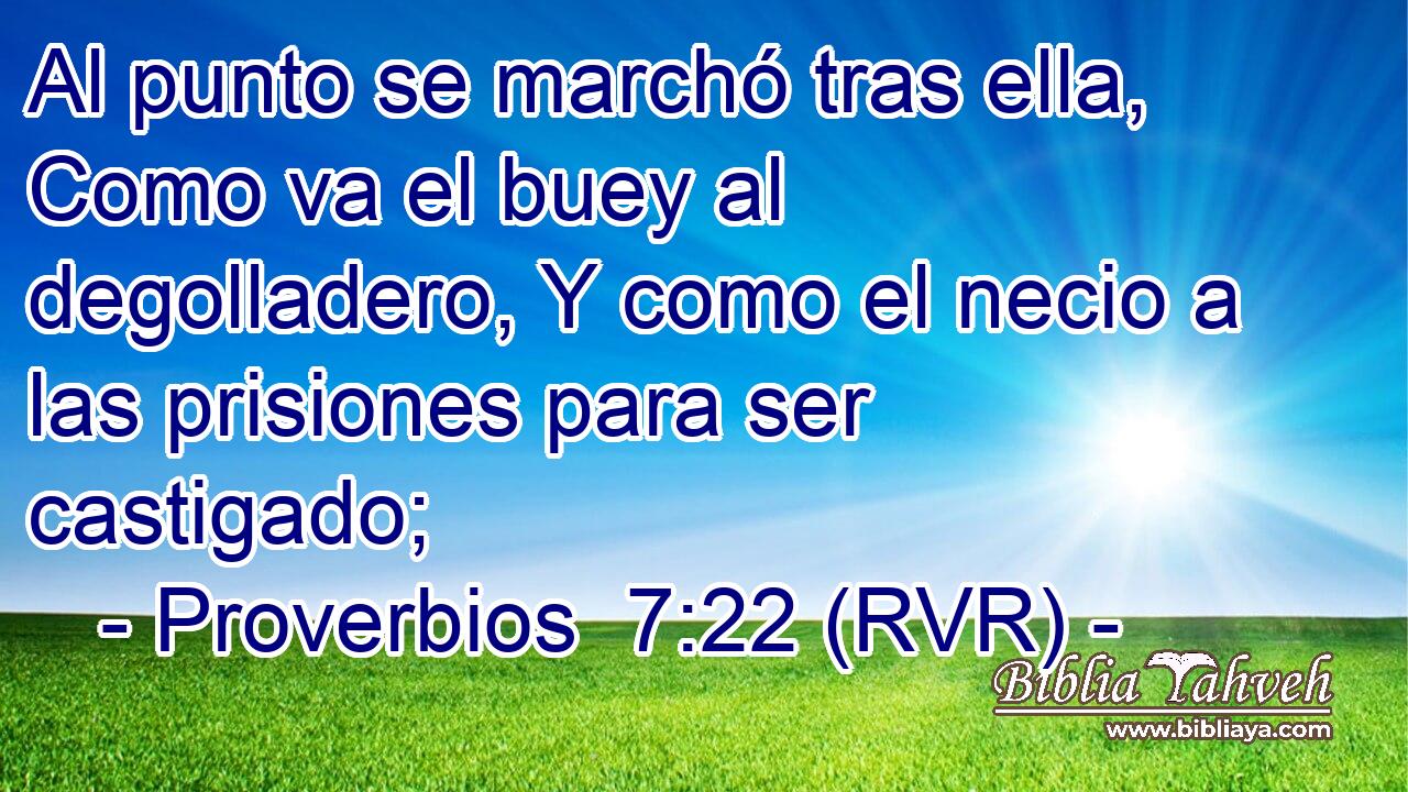 Al punto se marchó tras ella, Como va el buey al degolladero, Y como el necio a las prisiones para ser castigado;