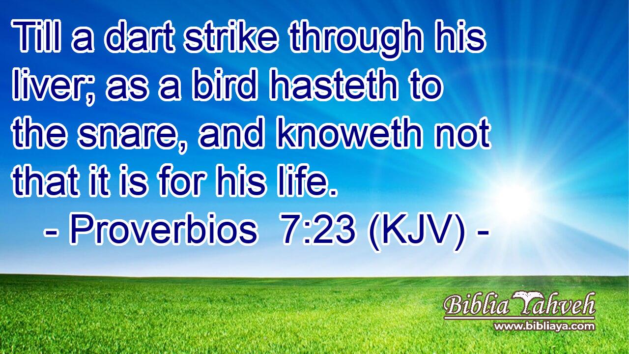 Till a dart strike through his liver; as a bird hasteth to the snare, and knoweth not that it is for his life.