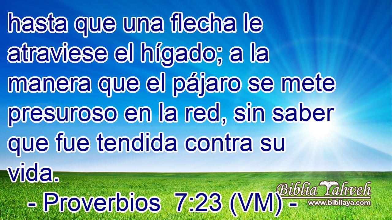  hasta que una flecha le atraviese el hígado; a la manera que el pájaro se mete presuroso en la red, sin saber que fue tendida contra su vida. 