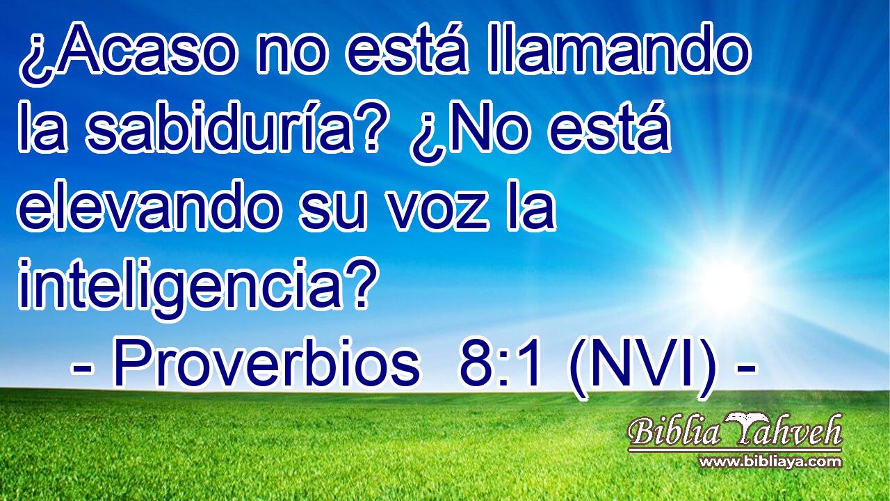  ¿Acaso no está llamando la sabiduría? ¿No está elevando su voz la inteligencia? 