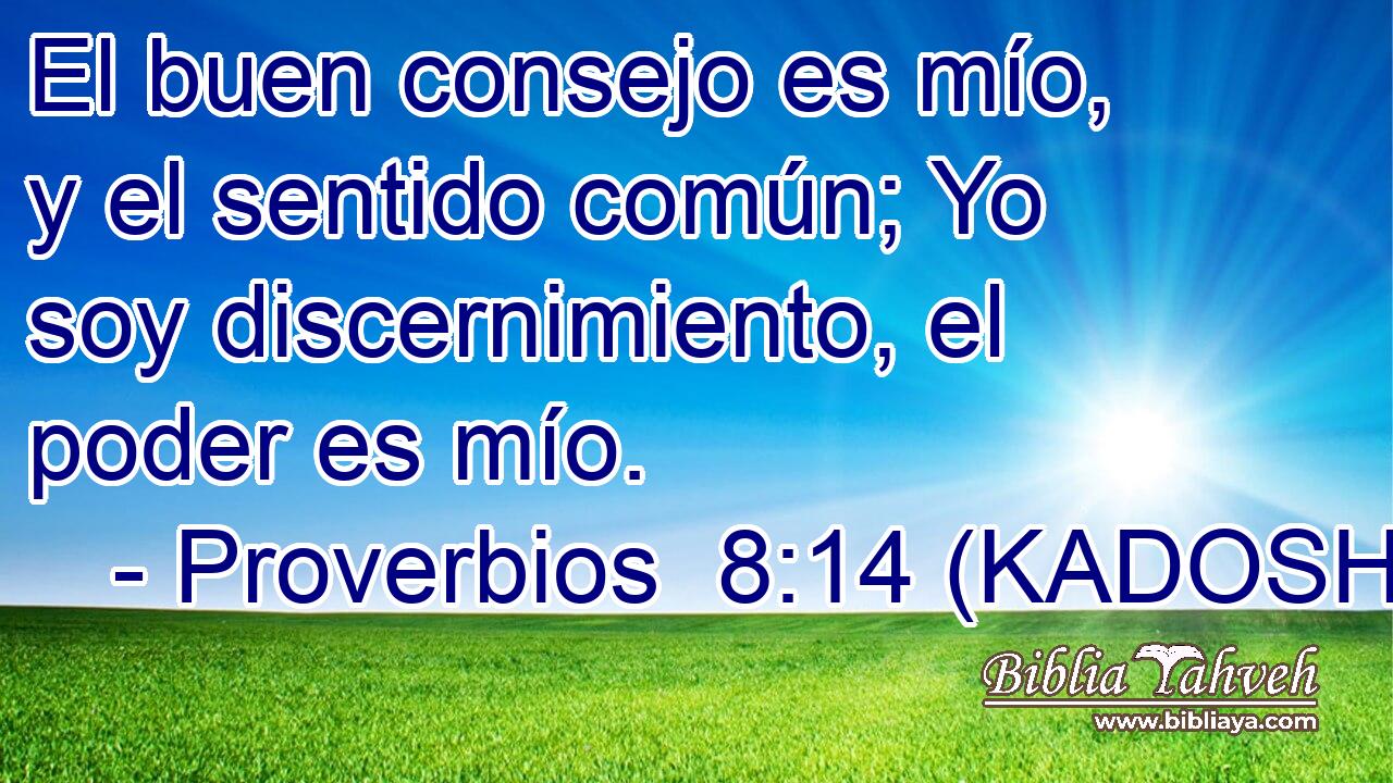  El buen consejo es mío, y el sentido común; Yo soy discernimiento, el poder es mío. 