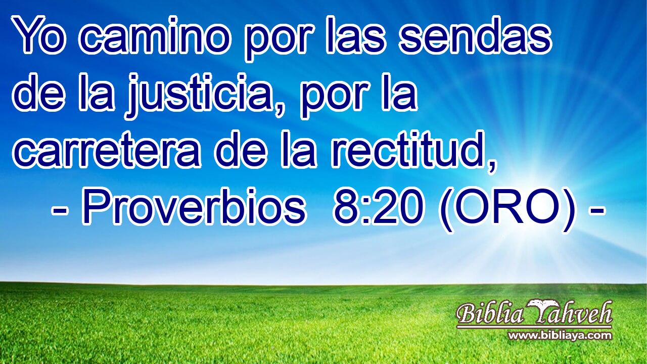  Yo camino por las sendas de la justicia, por la carretera de la rectitud, 
