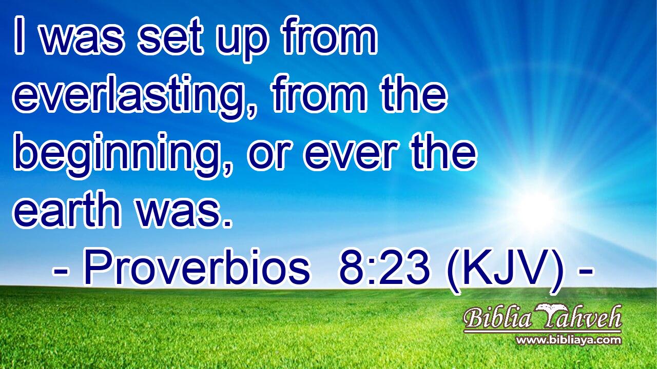 I was set up from everlasting, from the beginning, or ever the earth was.