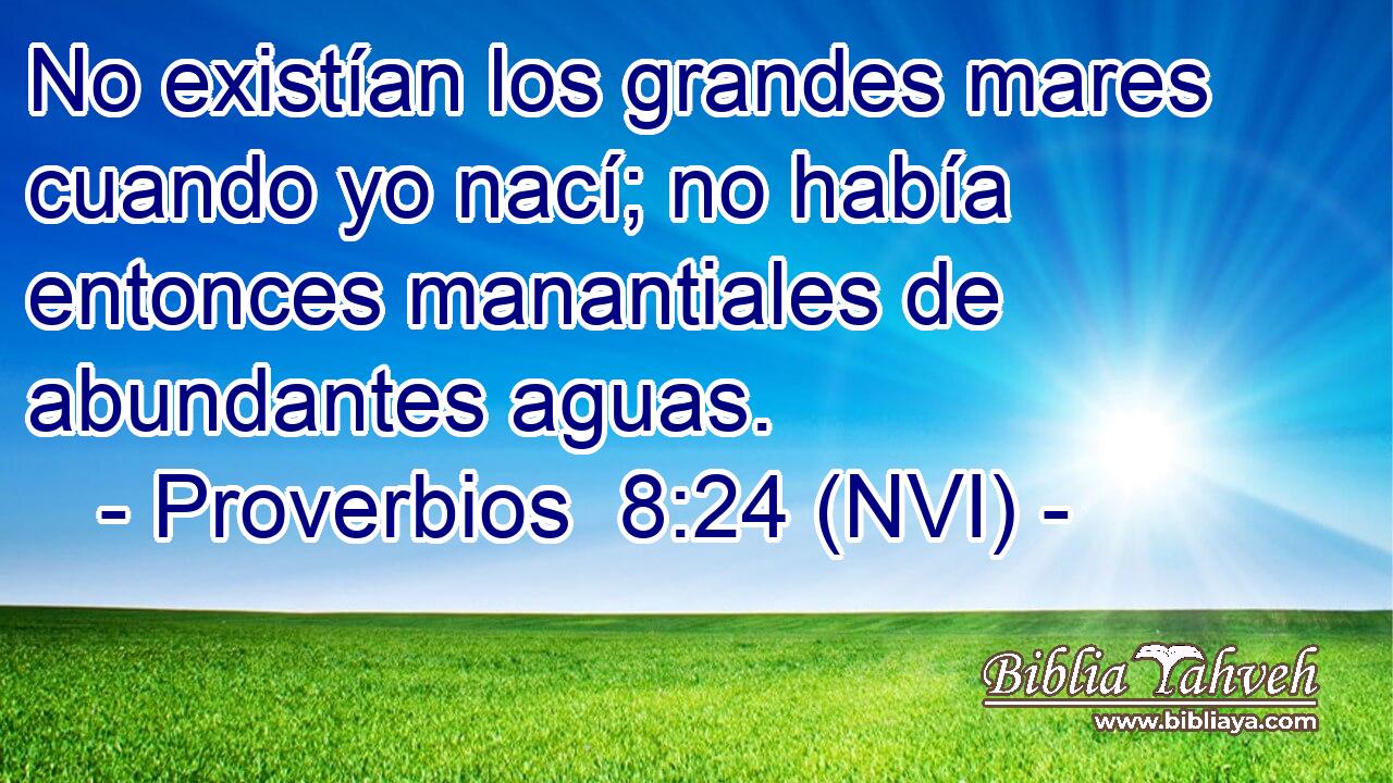  No existían los grandes mares cuando yo nací; no había entonces manantiales de abundantes aguas. 