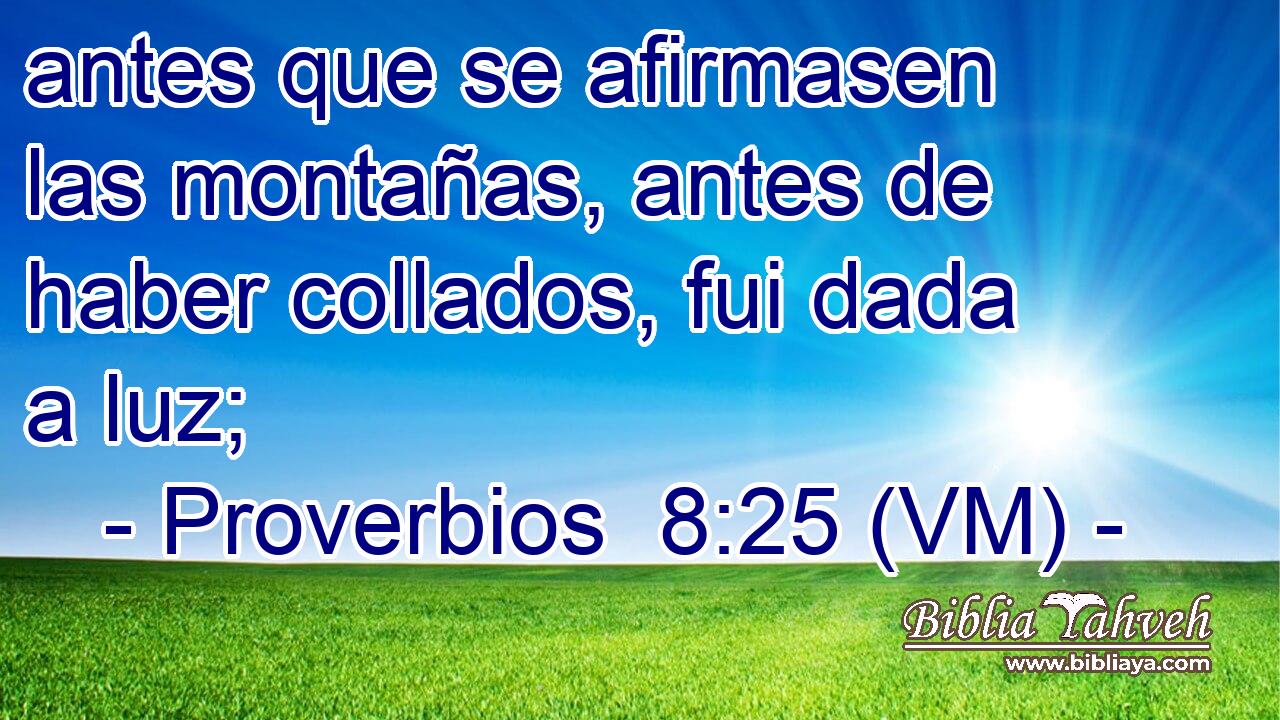  antes que se afirmasen las montañas, antes de haber collados, fui dada a luz; 