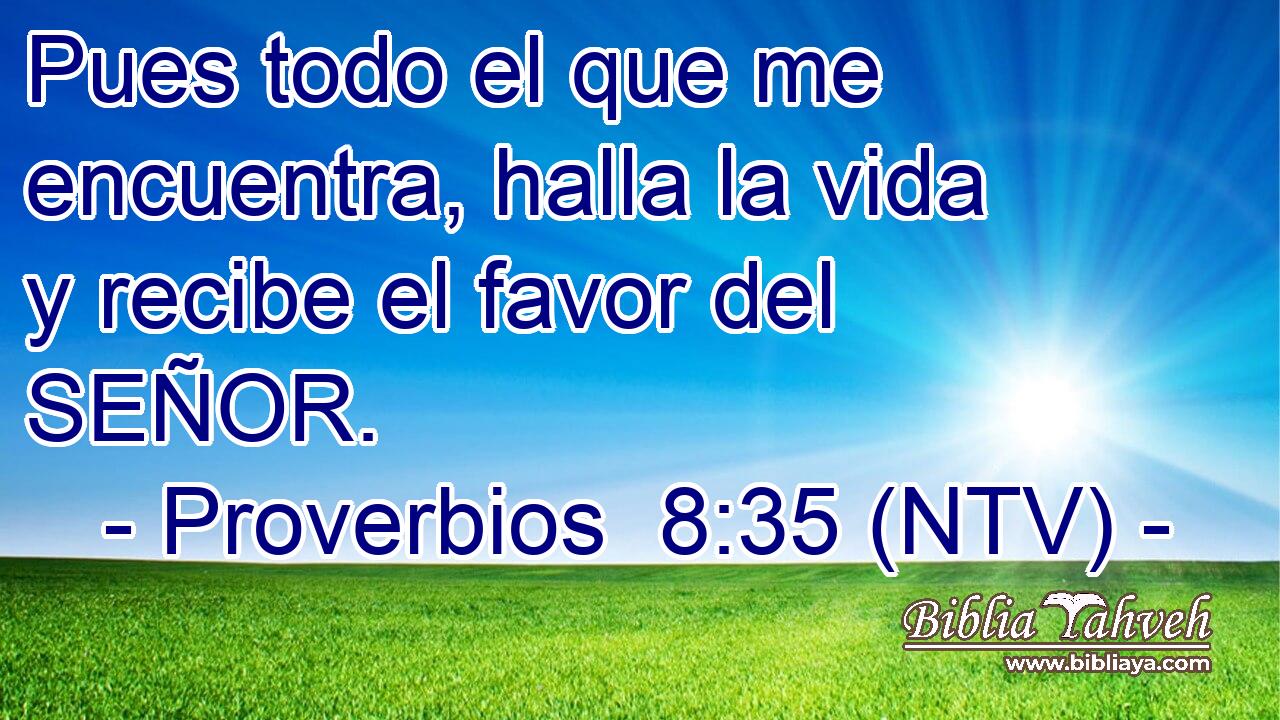 Pues todo el que me encuentra, halla la vida y recibe el favor del SEÑOR.