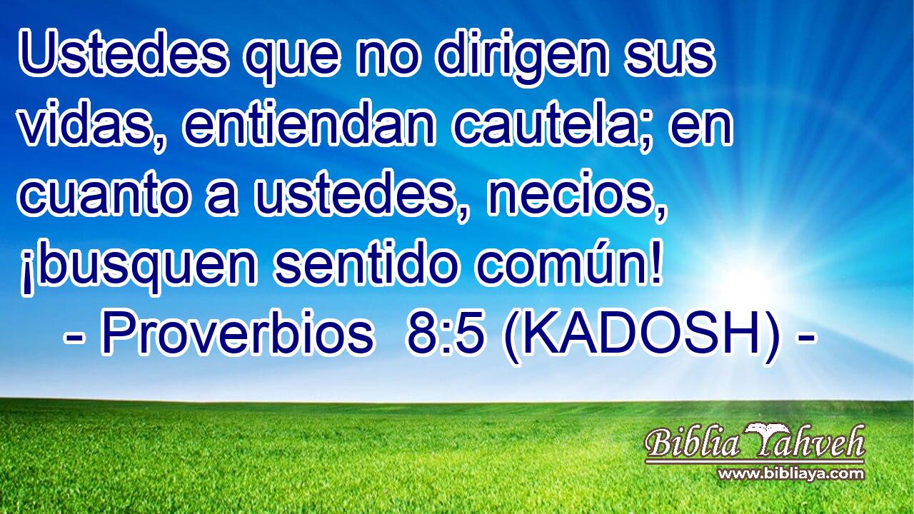  Ustedes que no dirigen sus vidas, entiendan cautela; en cuanto a ustedes, necios, ¡busquen sentido común! 