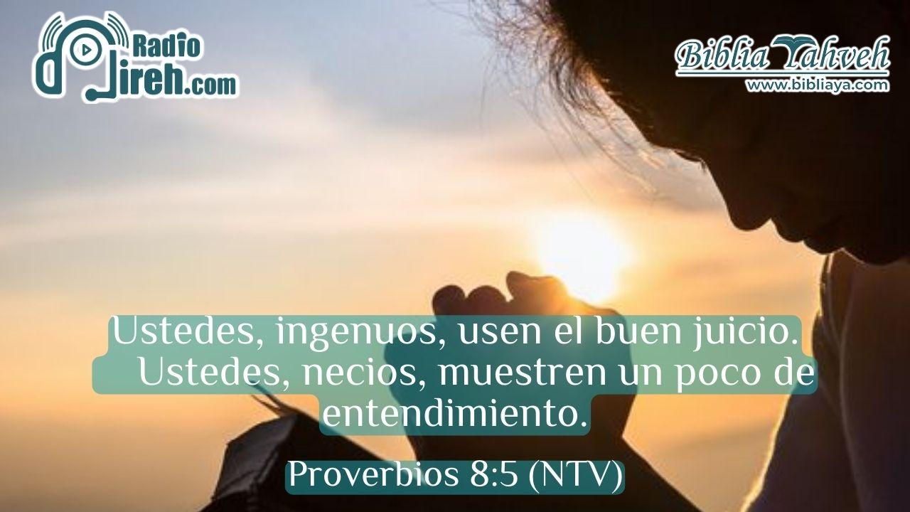 Ustedes, ingenuos, usen el buen juicio. Ustedes, necios, muestren un poco de entendimiento.