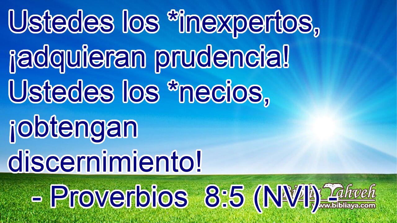  Ustedes los *inexpertos, ¡adquieran prudencia! Ustedes los *necios, ¡obtengan discernimiento! 