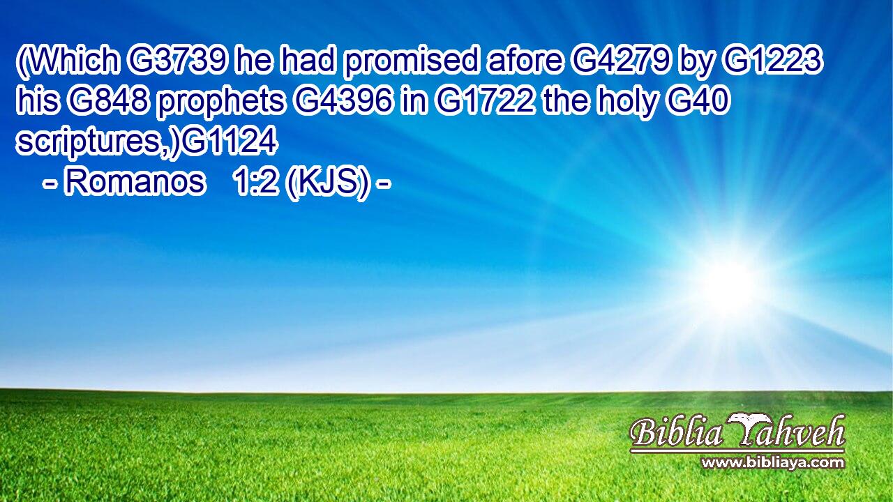 (Which G3739 he had promised afore G4279 by G1223 his G848 prophets G4396 in G1722 the holy G40 scriptures,)G1124