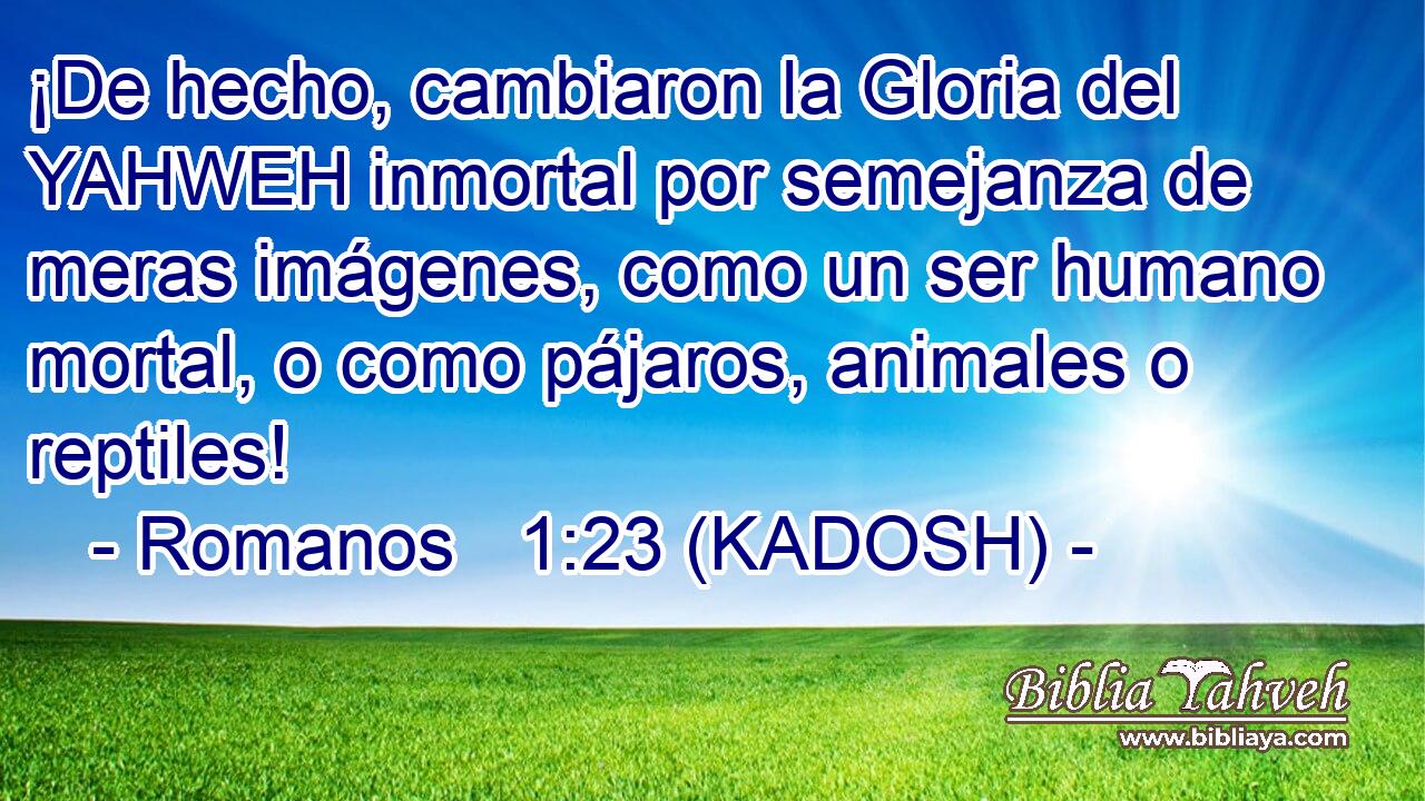 ¡De hecho, cambiaron la Gloria del YAHWEH inmortal por semejanza de meras imágenes, como un ser humano mortal, o como pájaros, animales o reptiles! 