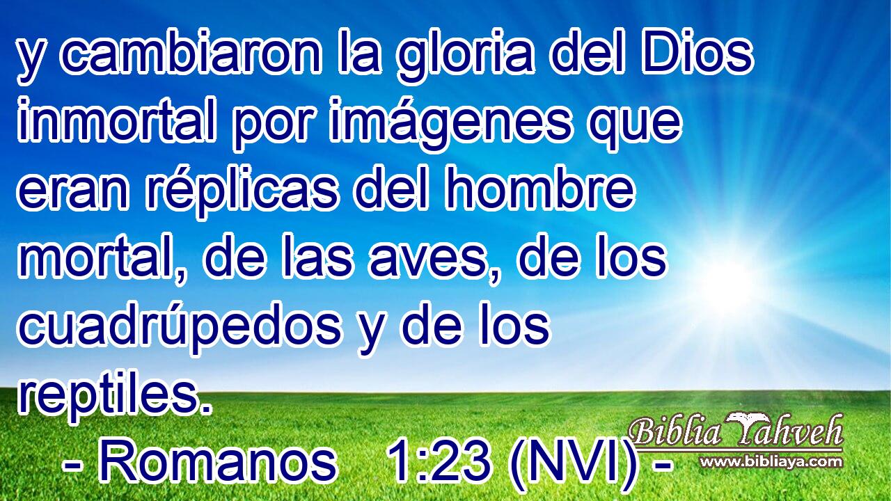  y cambiaron la gloria del Dios inmortal por imágenes que eran réplicas del hombre mortal, de las aves, de los cuadrúpedos y de los reptiles. 