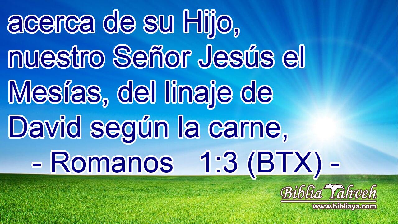 acerca de su Hijo, nuestro Señor Jesús el Mesías, del linaje de David según la carne,
