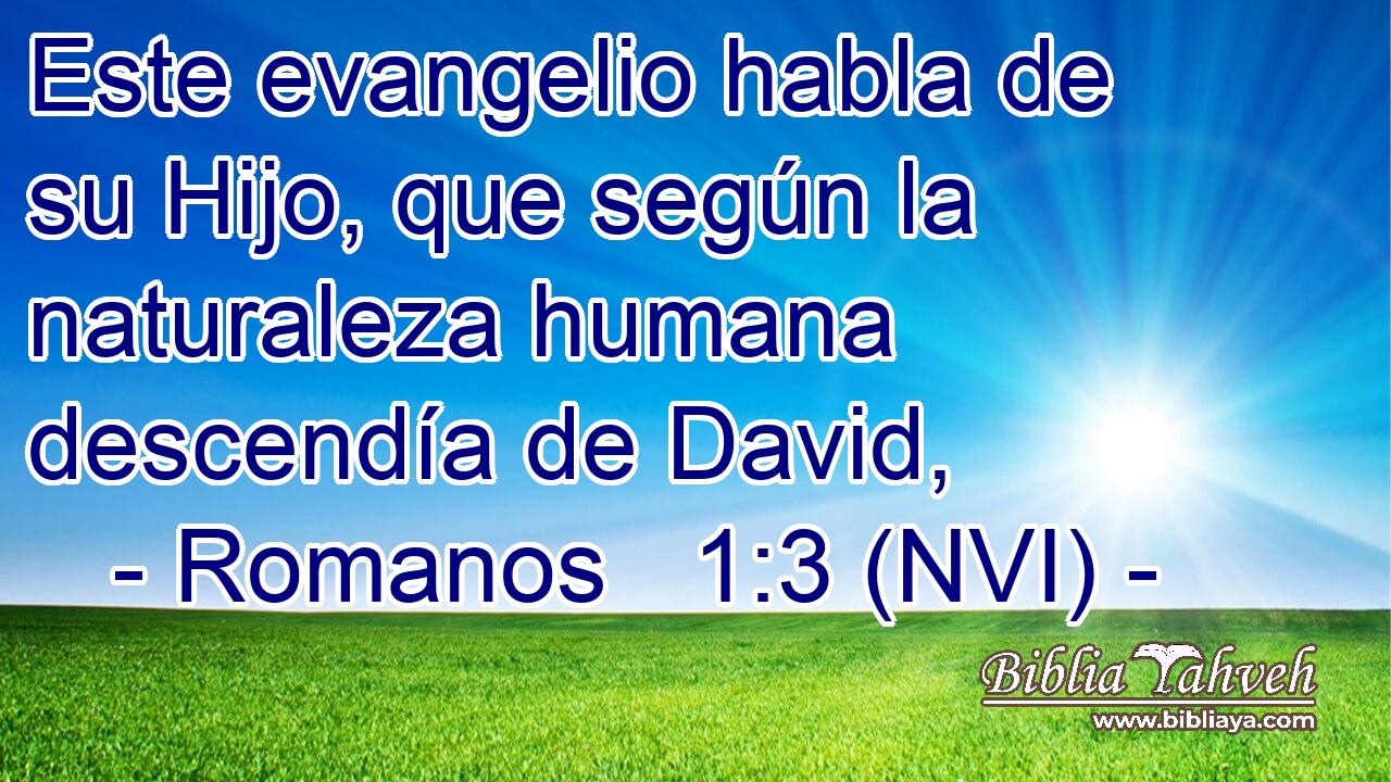 Este evangelio habla de su Hijo, que según la naturaleza humana descendía de David, 