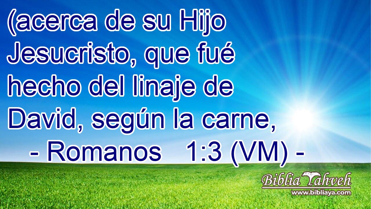  (acerca de su Hijo Jesucristo, que fué hecho del linaje de David, según la carne, 