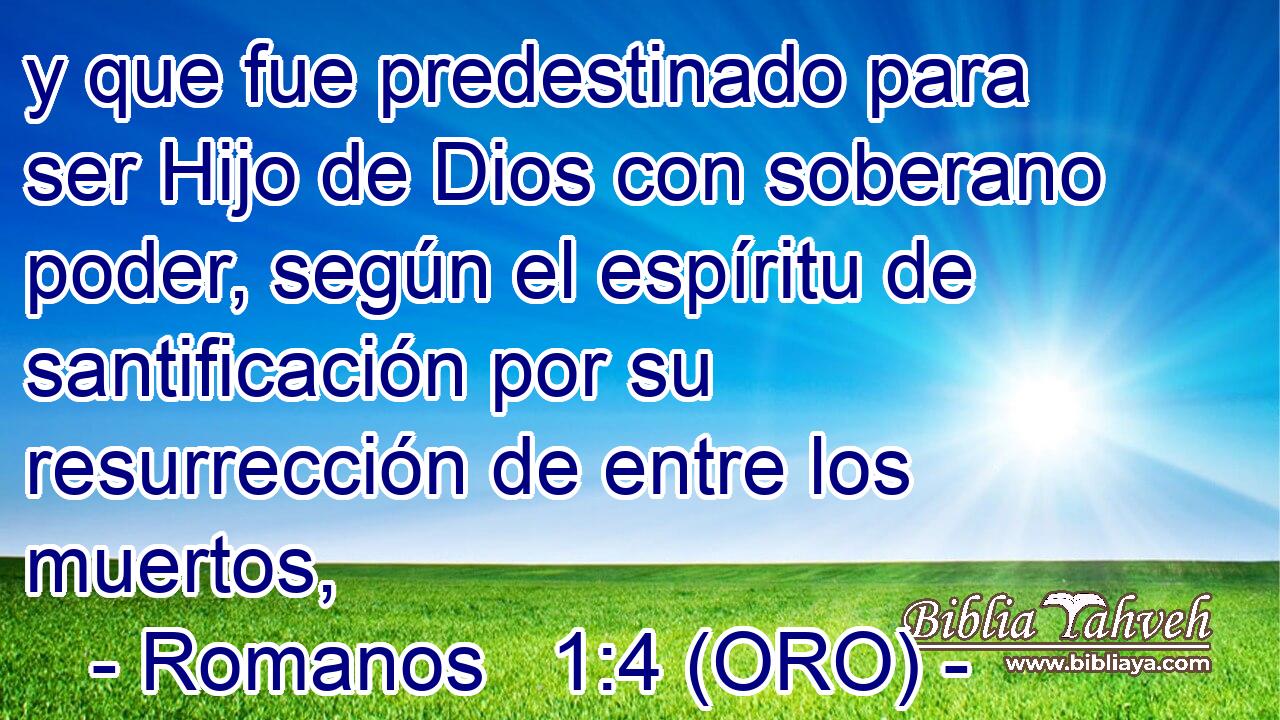  y que fue predestinado para ser Hijo de Dios con soberano poder, según el espíritu de santificación por su resurrección de entre los muertos, 