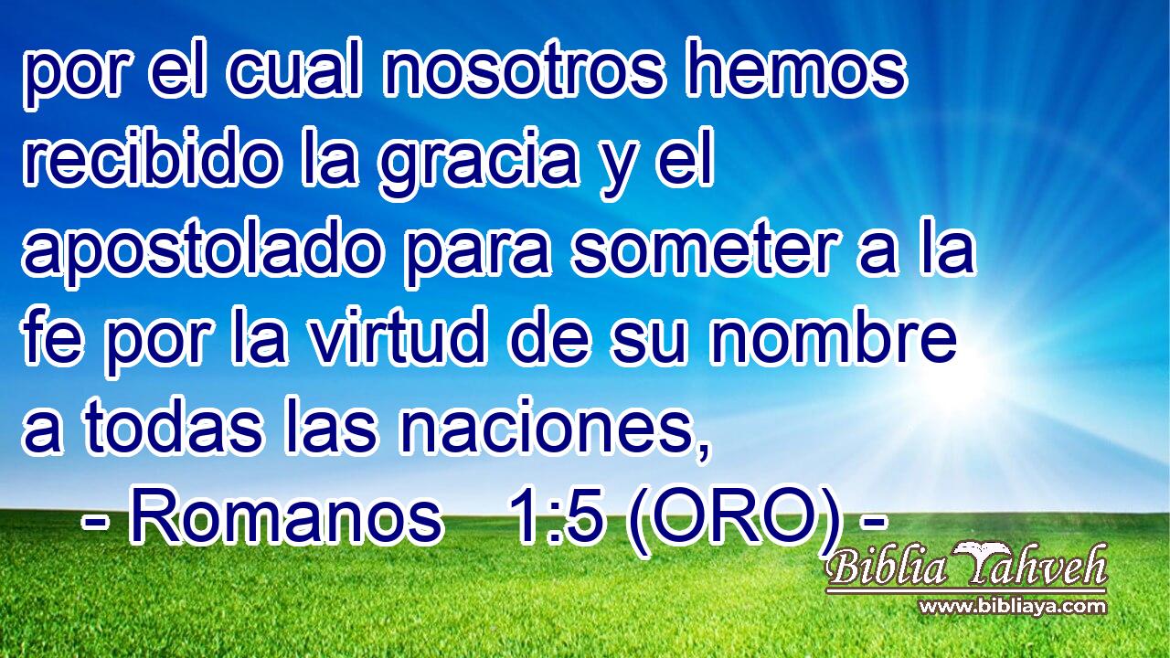  por el cual nosotros hemos recibido la gracia y el apostolado para someter a la fe por la virtud de su nombre a todas las naciones, 