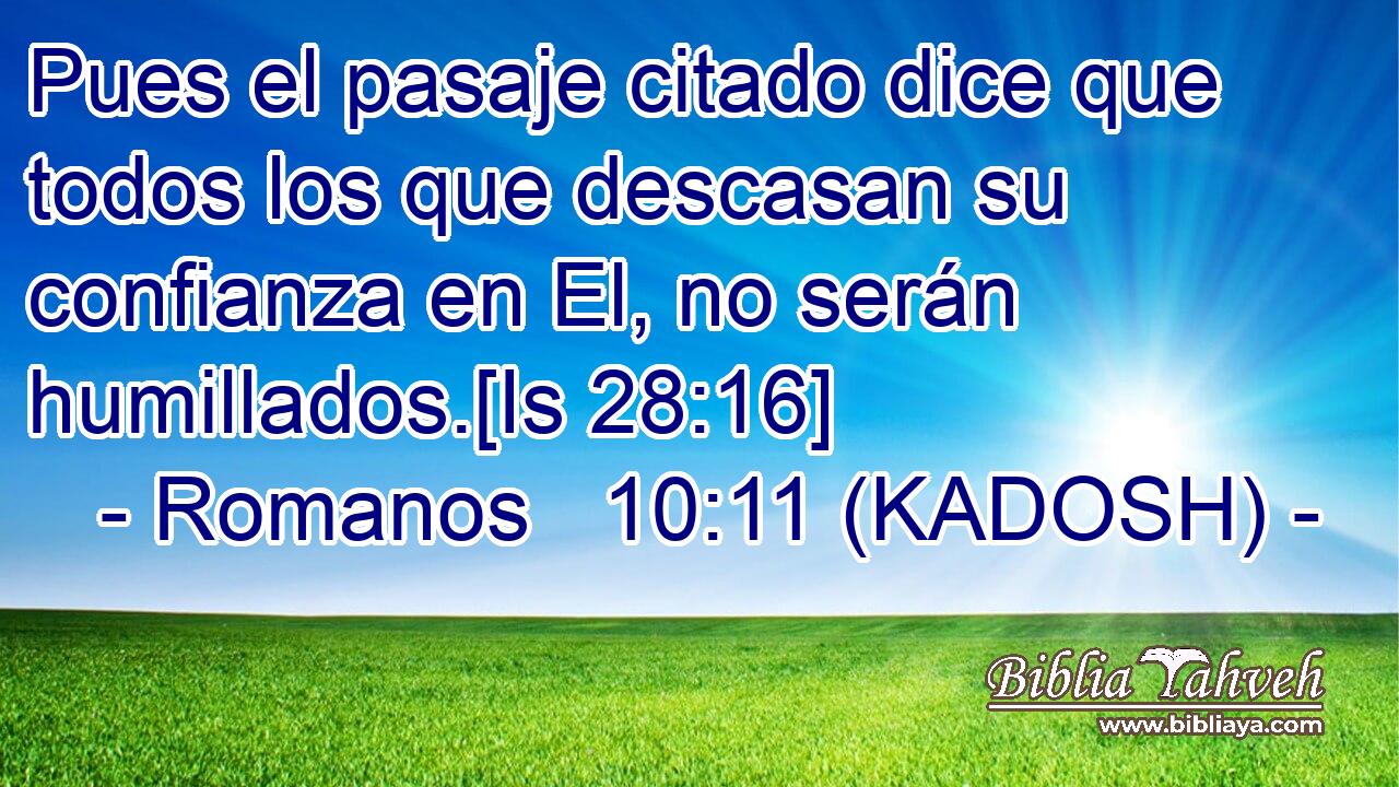  Pues el pasaje citado dice que todos los que descasan su confianza en El, no serán humillados.[Is 28:16] 