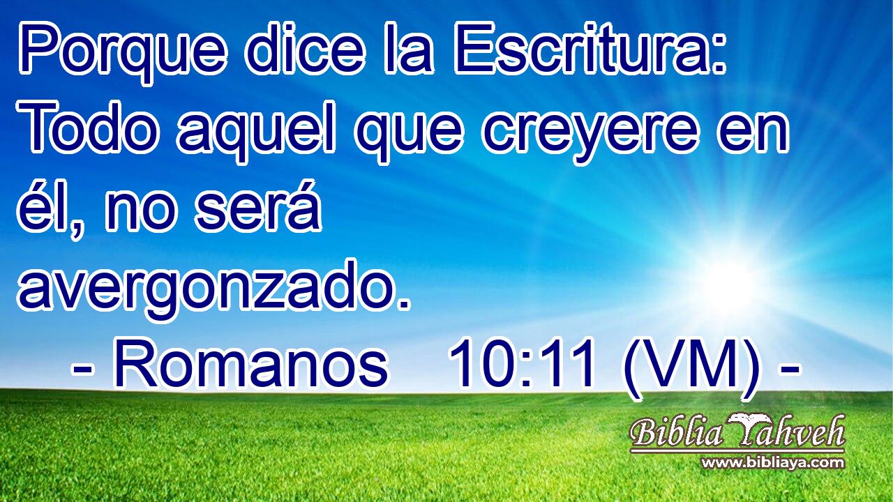  Porque dice la Escritura: Todo aquel que creyere en él, no será avergonzado. 