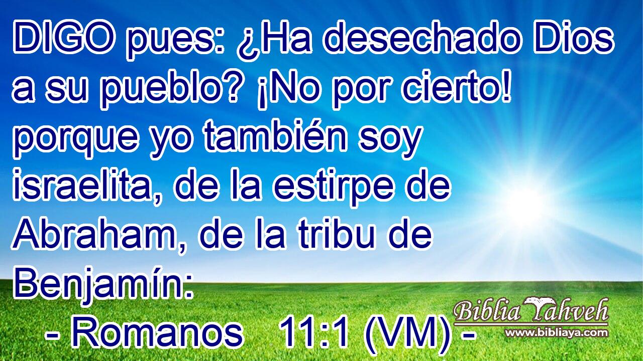  DIGO pues: ¿Ha desechado Dios a su pueblo? ¡No por cierto! porque yo también soy israelita, de la estirpe de Abraham, de la tribu de Benjamín: 